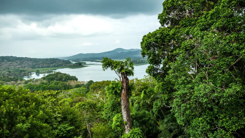 Época de lluvias en Panamá