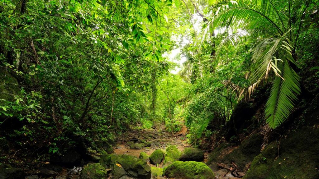 Viajar por Panamá