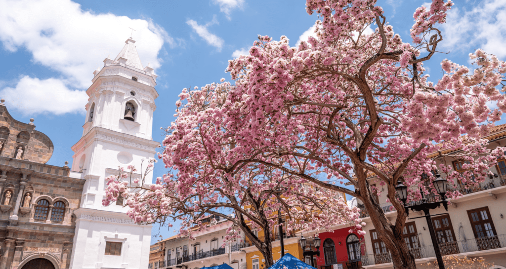 Retirado italiano en Panamá