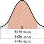 Distribución de las ganancias. El 94 % de los traders no ganan dinero