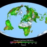 El CO2 es la materia prima de la vida