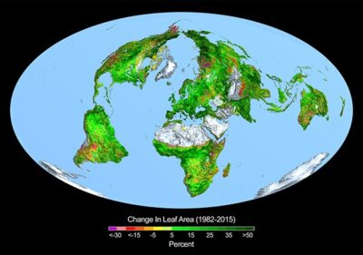 crop change in leaf area e1736618288678